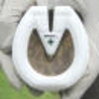 「imprint plastic horseshoe」