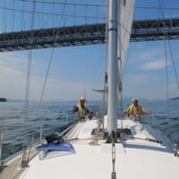 8月30日  弓削島～赤穂  71マイル（