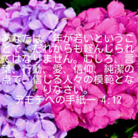 隠れホームレス