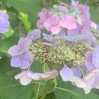 ある時代との対話①