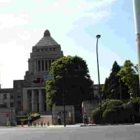 皇居桜田門と国会議事堂