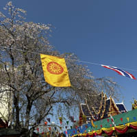 タイのお正月のお祭り
