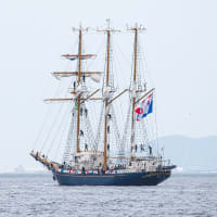 帆船パレード③