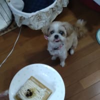 ロゼ15歳の誕生日！
