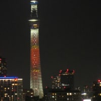 日向坂46の虹開催記念特別ライティング25
