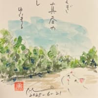 日向ぼっこ？