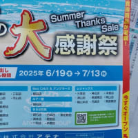だから、お金が貯まらない私・・・。