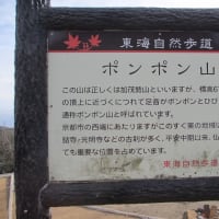加茂勢山（通称ポンポン山）