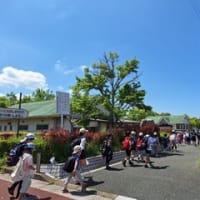 5月5日までのハイライト