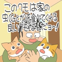 「ルキとサンは野良出身」