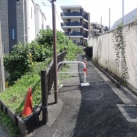 和光市白子の百段階段！ふらりとやって来ました。実際は77階段でした。