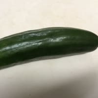 たまにはチェックをした方が