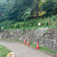 26日の雨で倒木