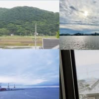 昨日，今朝の風景　岡山，神戸港，日の出せず，ハグロトンボ