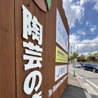 信楽焼陶器まつり　2025年5月5日