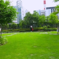 築地・銀座界隈散策