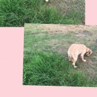 ☆暑～い！！やっぱ！！水遊びだよね～～～！！（笑）☆