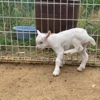 双子ちゃんの名前は…♫