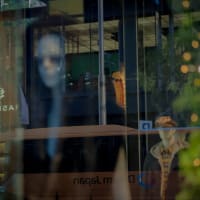 20250605 ブックオフの棚卸しに無駄足を踏む