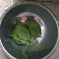 しそ大葉の収穫・・・・。('◇')ゞ