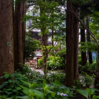 ぷちツー：紫陽花の日本寺へ（その1：境内巡り）