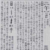漢和辞典　使った感想（６） 「新潮日本語漢字辞典」（新潮社）