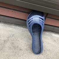 ムンクの叫び