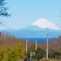 富士山がよく見える団地