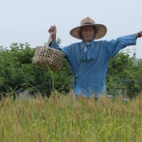 自然農　川口由一さんの三回忌　2025年6月9日
