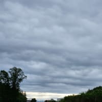 朝空