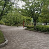 会いたいなぁ