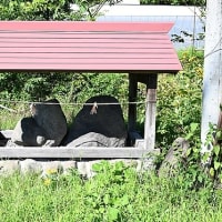 自然石を祀る（長久保の道祖神）前編