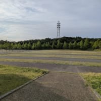 綿帽子の写真を撮りながら・・・