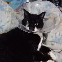 ひさかたすぎるにほどがある