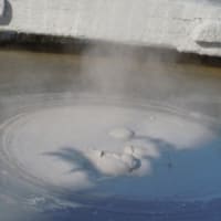 地獄のハシゴ
