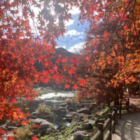 香嵐渓