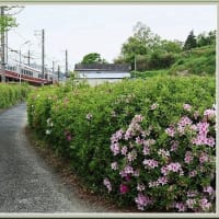 今日は撮り鉄（2025.04　Ｎｏ.20）