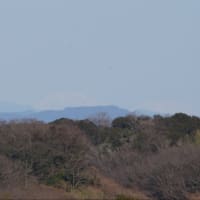 貝がら公園からの富士山