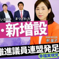 【原子力発電推進議員連盟発足】猛暑・電力不足・電気代高騰・中東依存・台湾有事・原発なしで日本は乗り切れるのか？（釈量子×松澤力×壹岐愛子）【言論チャンネル】
