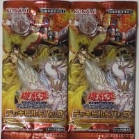 遊戯王 CROSSROADS OF CHAOS (クロスローズ・オブ・カオス 遊戯王 CROSSROADS OF CHAOS (クロスローズ・オブ・カオス
