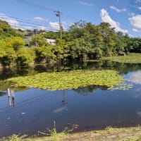 みよし：ため池巡り（明知町）