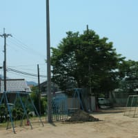 やっと・・・