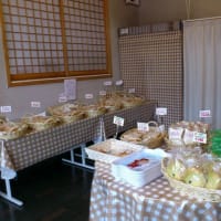 おひさしぶりです。