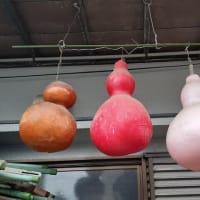東四つ木の瓢箪の家の2軒目