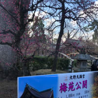 2020 北野天満宮•晴明神社
