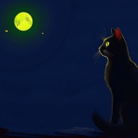 京都　哲学の道で蛍撮り　黒猫と蛍　黒猫三態