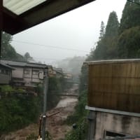 大雨警報のわりには優しい雨でした