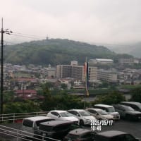 川崎観音　行き帰　2025. 5.17