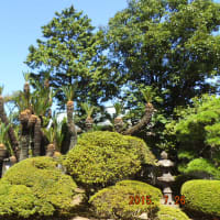岡山の下津井に行ってきました