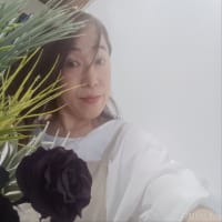 ◇◇◇　夏の空間作りを　♬